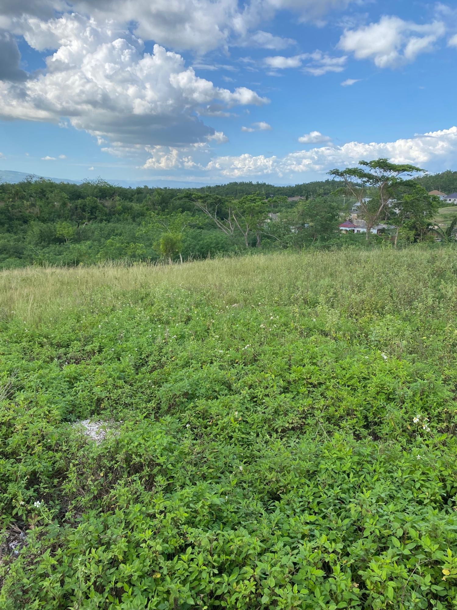 First image of 5c Montpelier Drive in Pepper, St. Elizabeth, Jamaica - property is For Sale