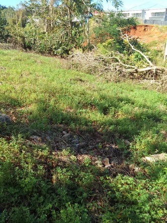 First image of 85 Sheridan Drive in Mandeville, Manchester, Jamaica - property is For Sale