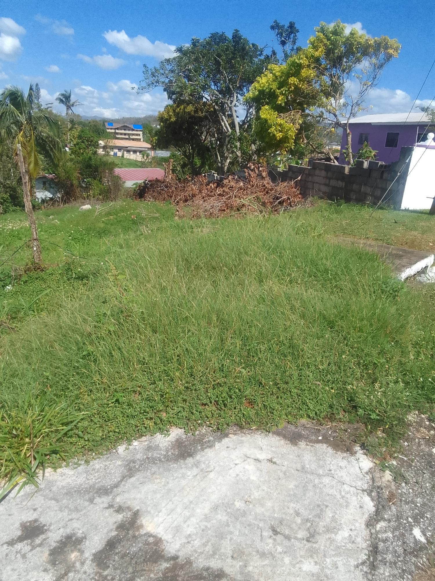 Third image of 85 Sheridan Drive in Mandeville, Manchester, Jamaica - property is For Sale