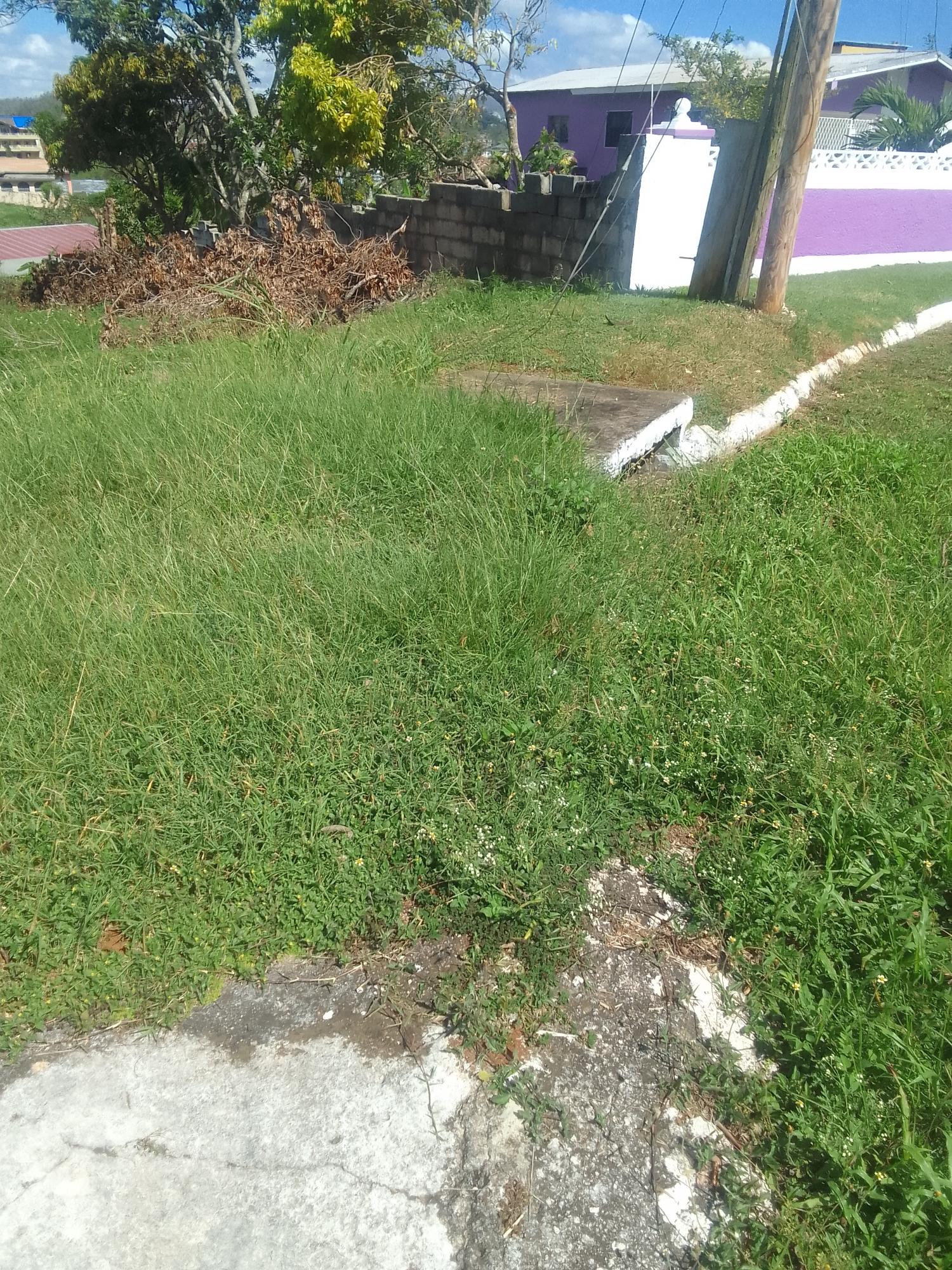 Fourth image of 85 Sheridan Drive in Mandeville, Manchester, Jamaica - property is For Sale