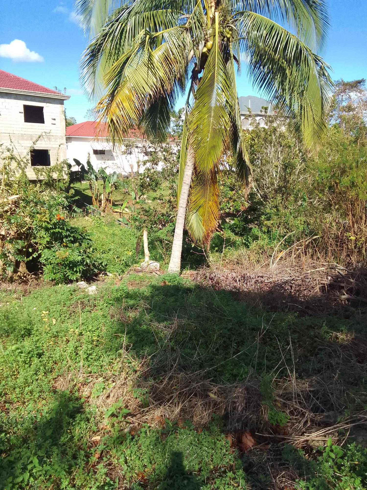 Fifth image of 85 Sheridan Drive in Mandeville, Manchester, Jamaica - property is For Sale