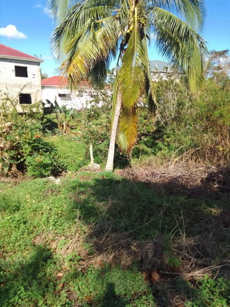 Fifth image of 85 Sheridan Drive in Mandeville, Manchester, Jamaica - property is For Sale