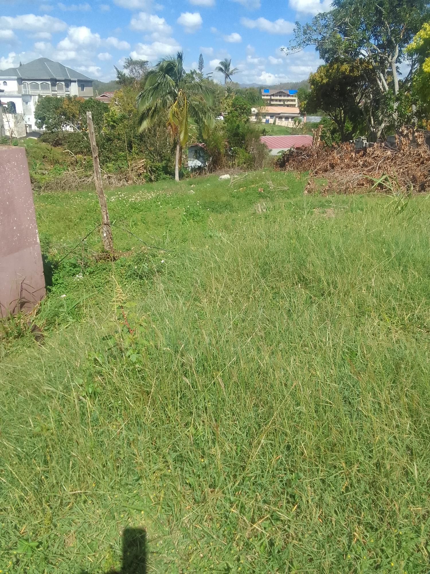 Seventh image of 85 Sheridan Drive in Mandeville, Manchester, Jamaica - property is For Sale