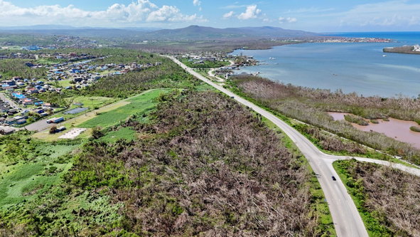 Eighth image of Sandy Ground in Falmouth, Trelawny, Jamaica - property is For Sale