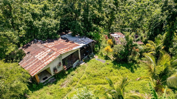 Tenth image of Union Pen in Mango Valley, St. Mary, Jamaica - property is For Sale