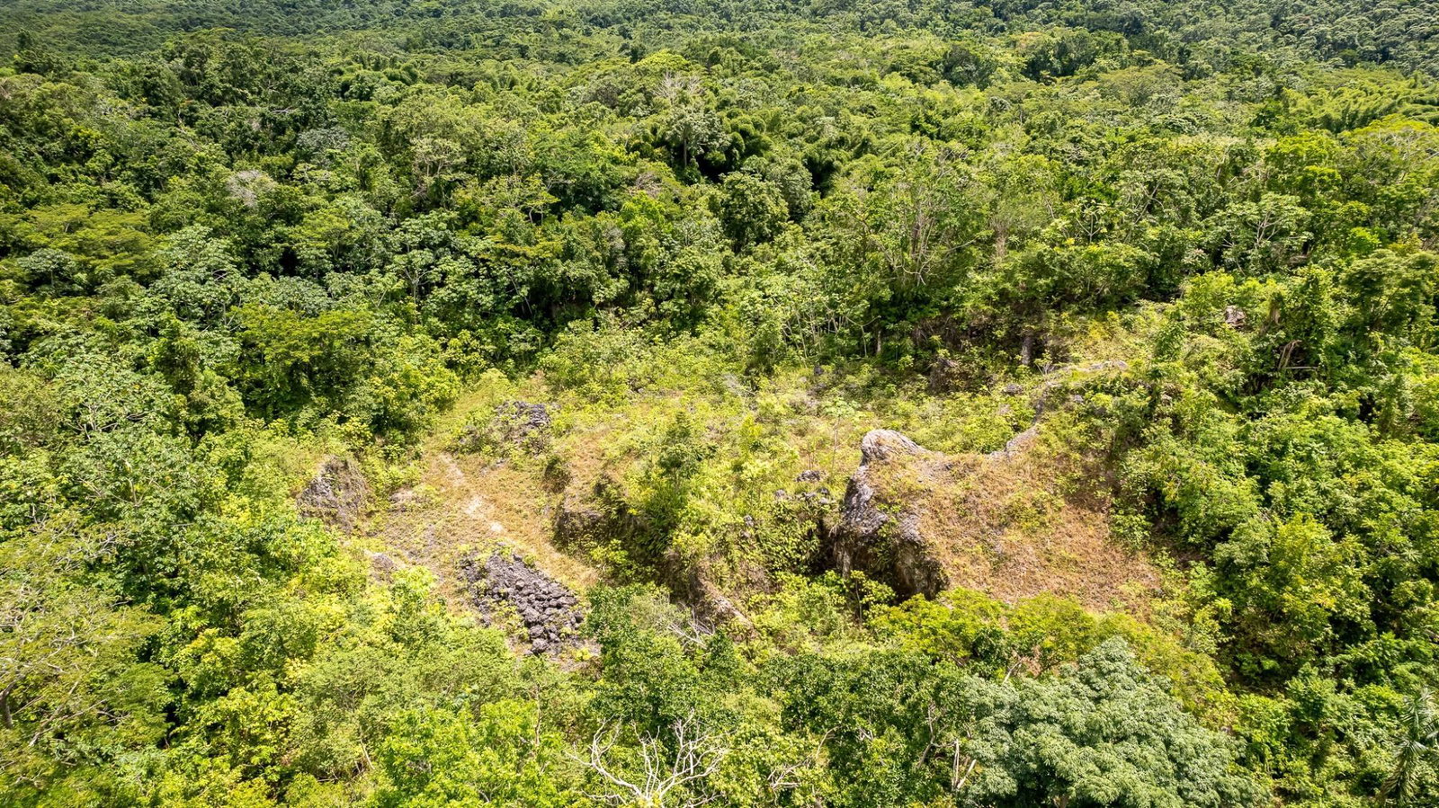 Third image of Union Pen in Mango Valley, St. Mary, Jamaica - property is For Sale