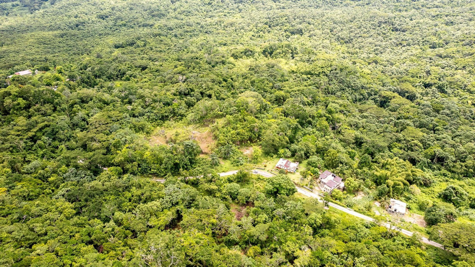 Fourth image of Union Pen in Mango Valley, St. Mary, Jamaica - property is For Sale