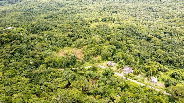 Fourth image of Union Pen in Mango Valley, St. Mary, Jamaica - property is For Sale