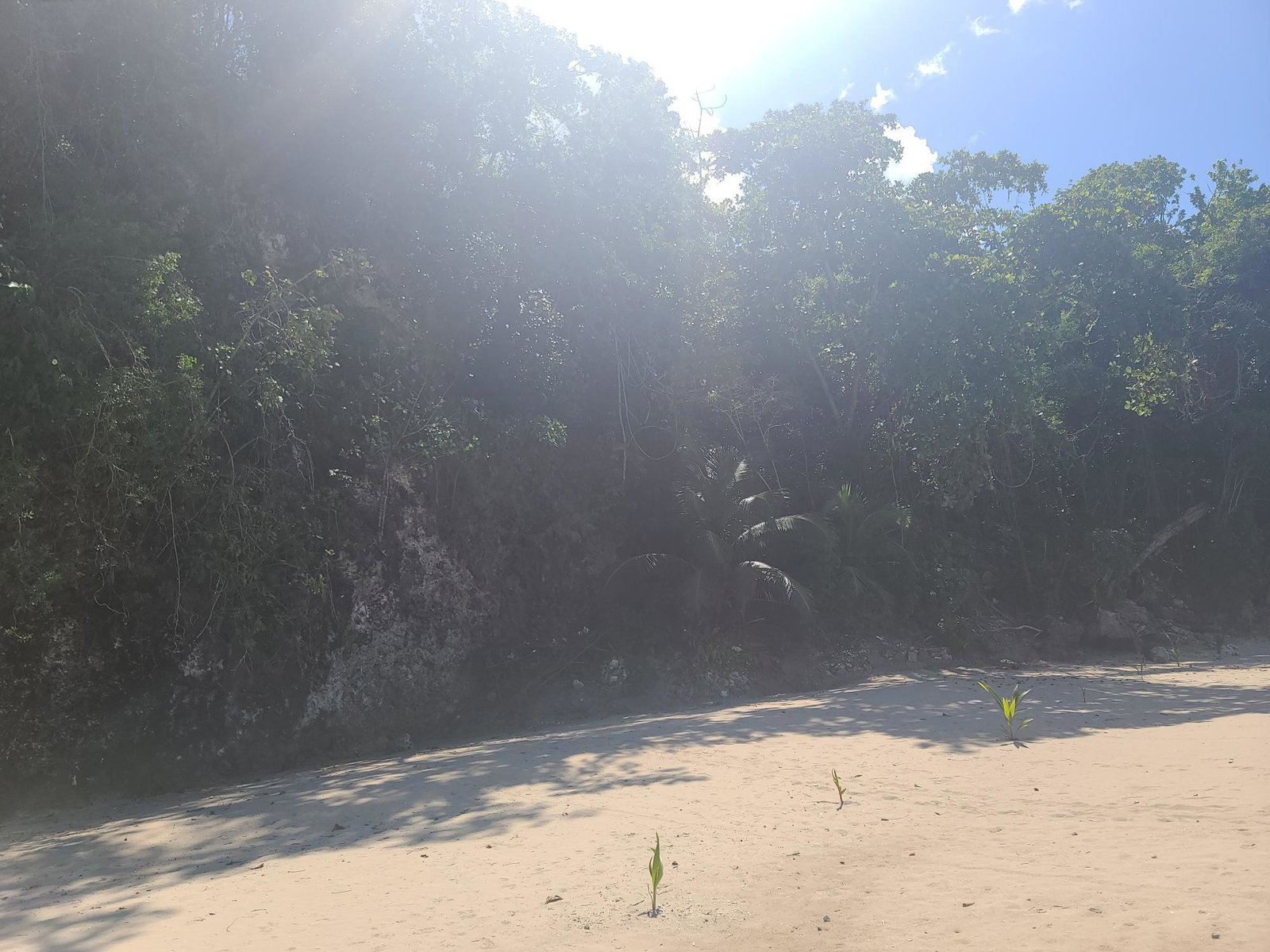 Eleventh image of 33 Gibraltar Estate in Oracabessa, St. Mary, Jamaica - property is For Sale