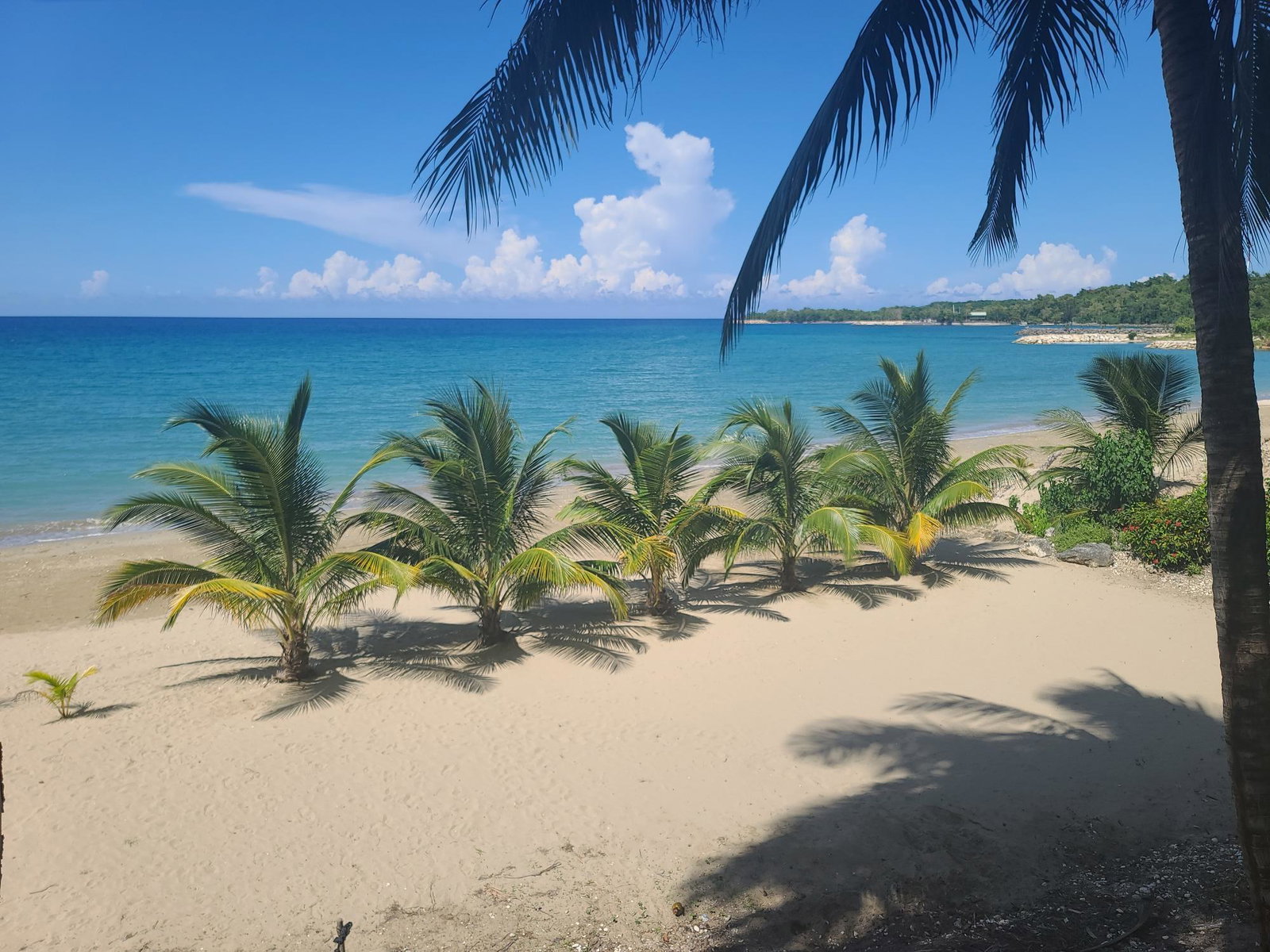 Fourteenth image of 33 Gibraltar Estate in Oracabessa, St. Mary, Jamaica - property is For Sale