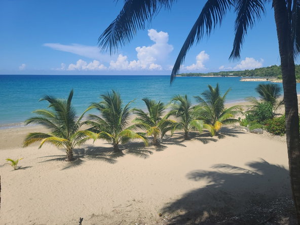 Fourteenth image of 33 Gibraltar Estate in Oracabessa, St. Mary, Jamaica - property is For Sale