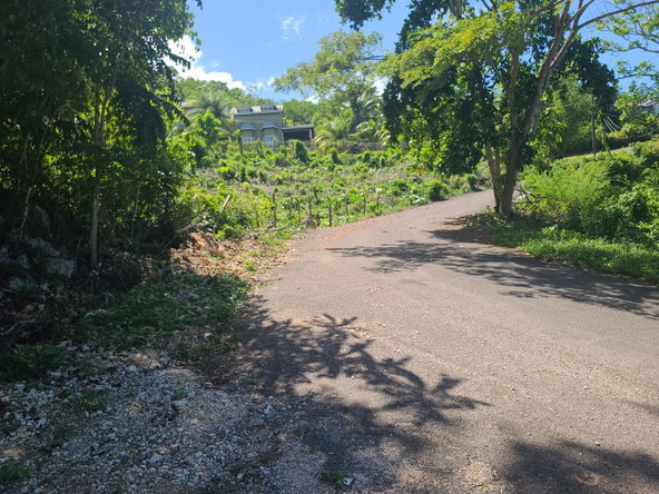 Sixteenth image of 33 Gibraltar Estate in Oracabessa, St. Mary, Jamaica - property is For Sale