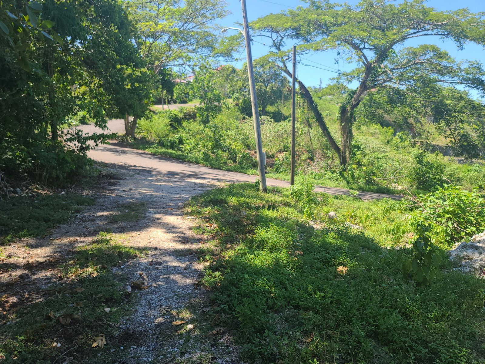 Seventeenth image of 33 Gibraltar Estate in Oracabessa, St. Mary, Jamaica - property is For Sale