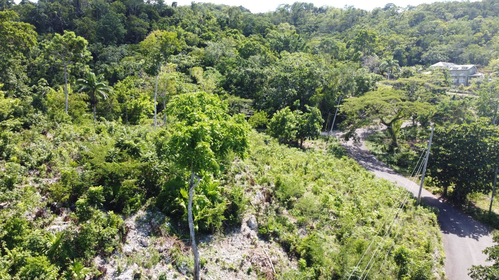 Second image of 33 Gibraltar Estate in Oracabessa, St. Mary, Jamaica - property is For Sale