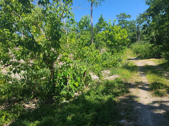 Twentieth image of 33 Gibraltar Estate in Oracabessa, St. Mary, Jamaica - property is For Sale