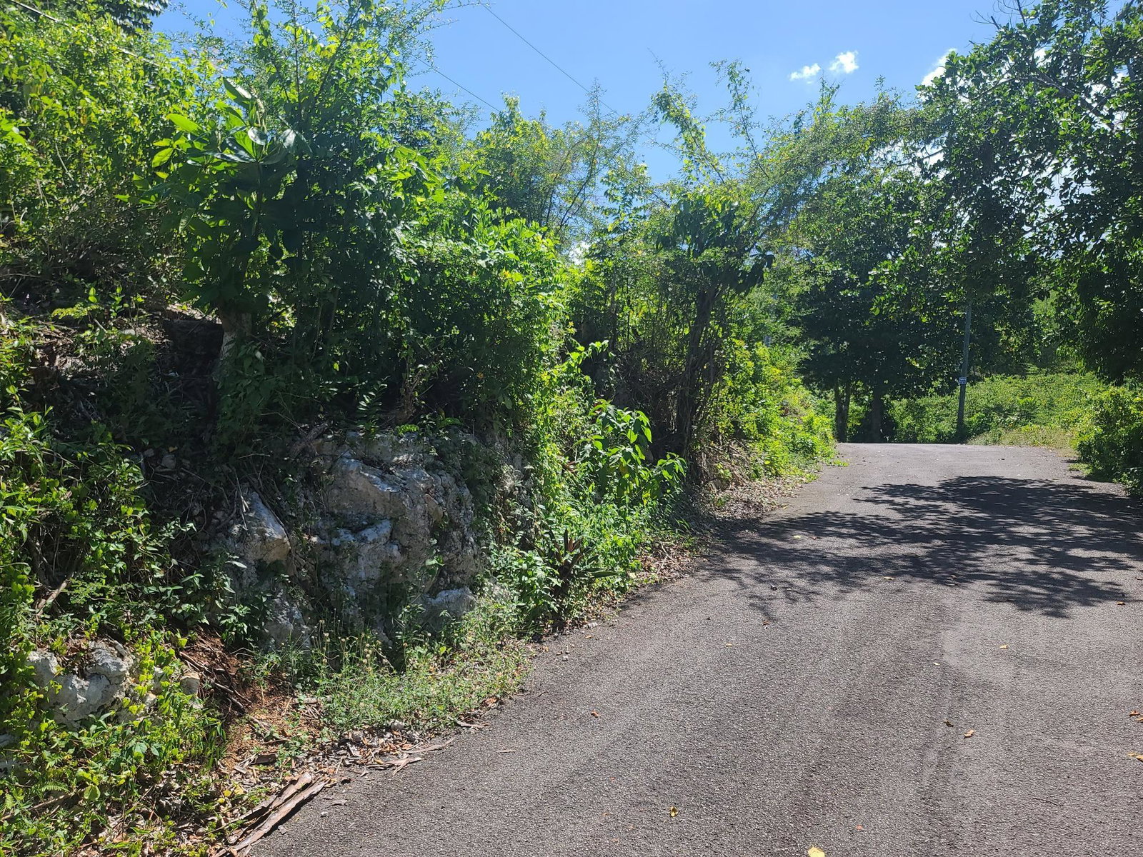 Twenty-First image of 33 Gibraltar Estate in Oracabessa, St. Mary, Jamaica - property is For Sale