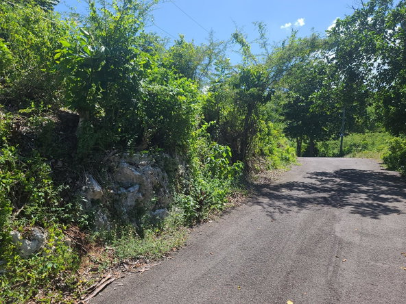 Twenty-First image of 33 Gibraltar Estate in Oracabessa, St. Mary, Jamaica - property is For Sale
