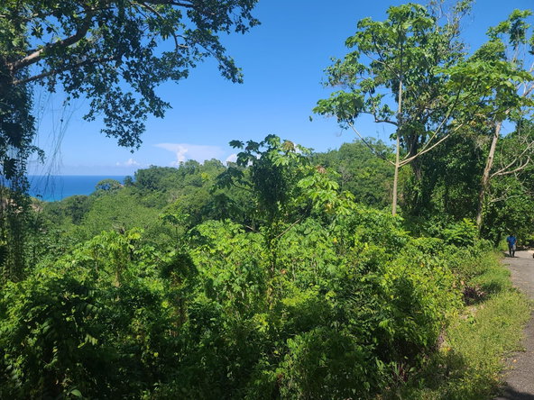 Twenty-Second image of 33 Gibraltar Estate in Oracabessa, St. Mary, Jamaica - property is For Sale
