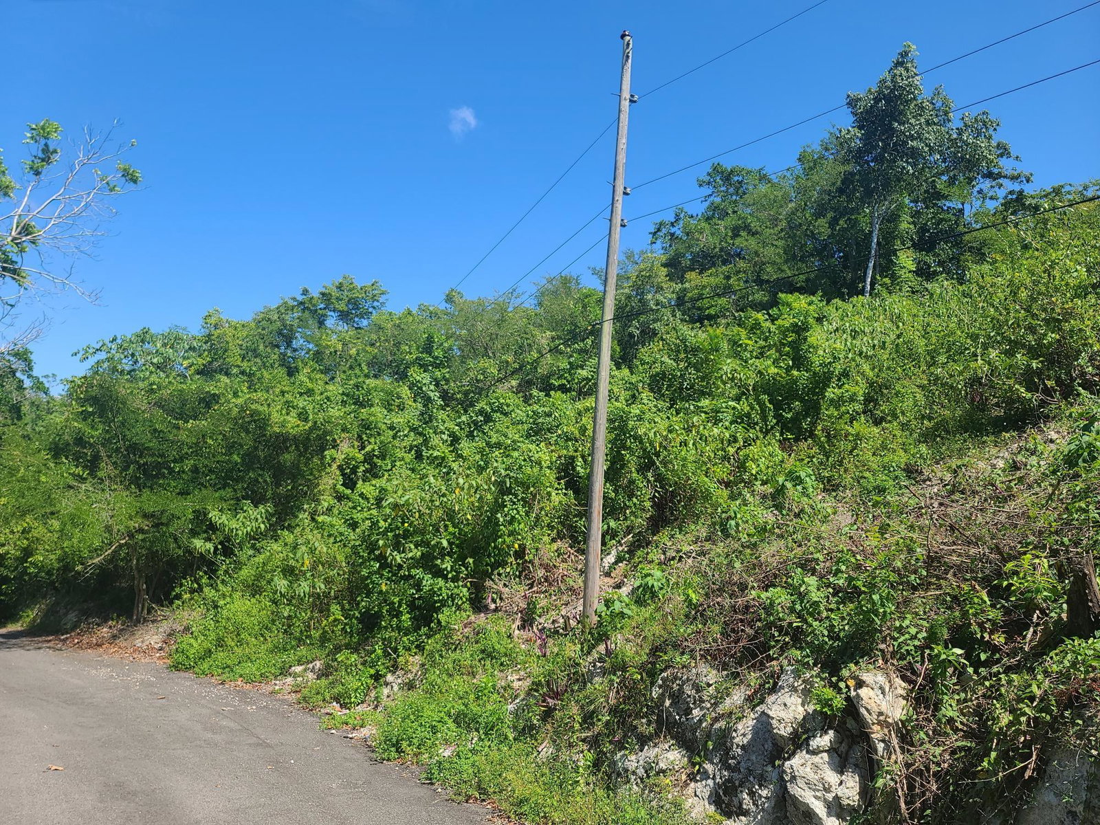 Twenty-Third image of 33 Gibraltar Estate in Oracabessa, St. Mary, Jamaica - property is For Sale