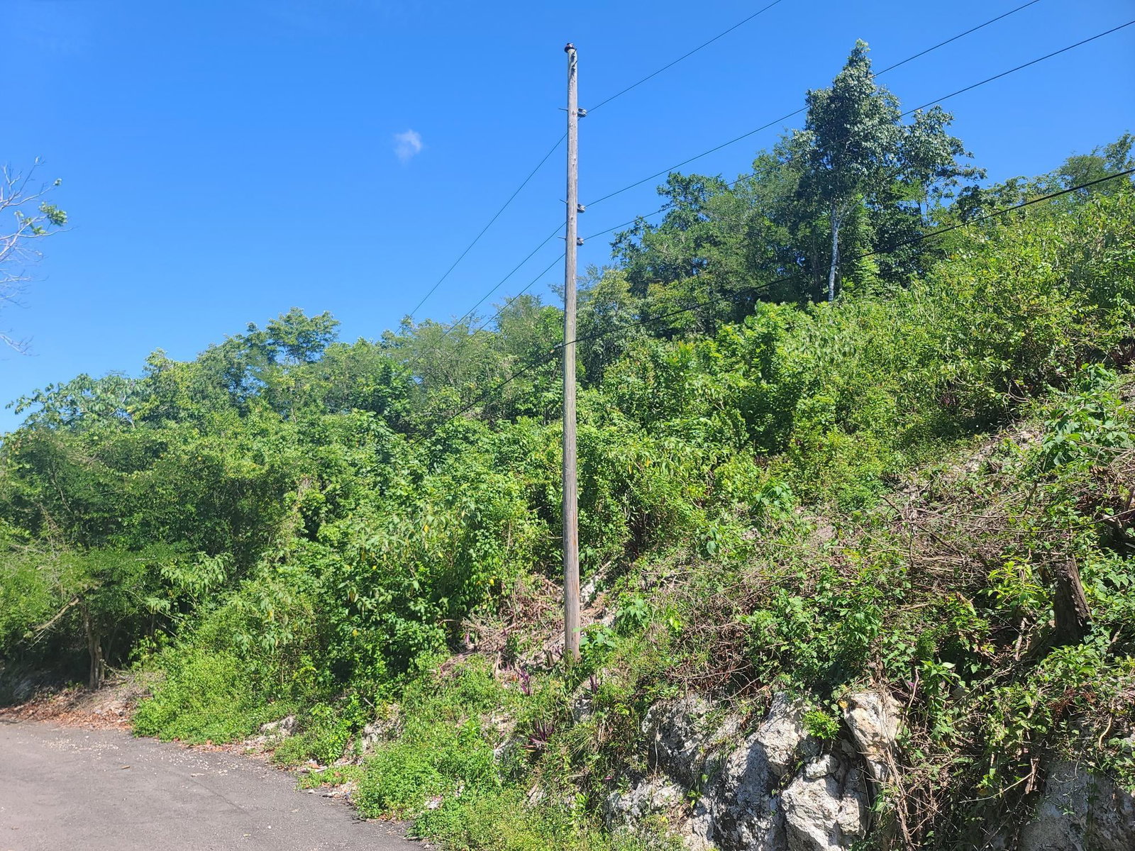 Twenty-Fourth image of 33 Gibraltar Estate in Oracabessa, St. Mary, Jamaica - property is For Sale
