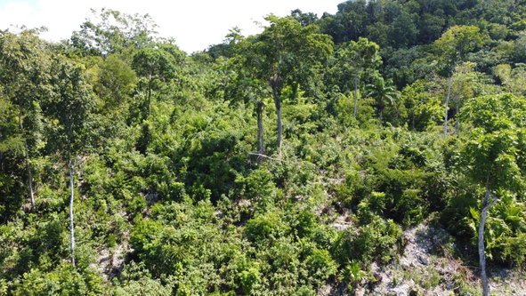 Twenty-Fifth image of 33 Gibraltar Estate in Oracabessa, St. Mary, Jamaica - property is For Sale