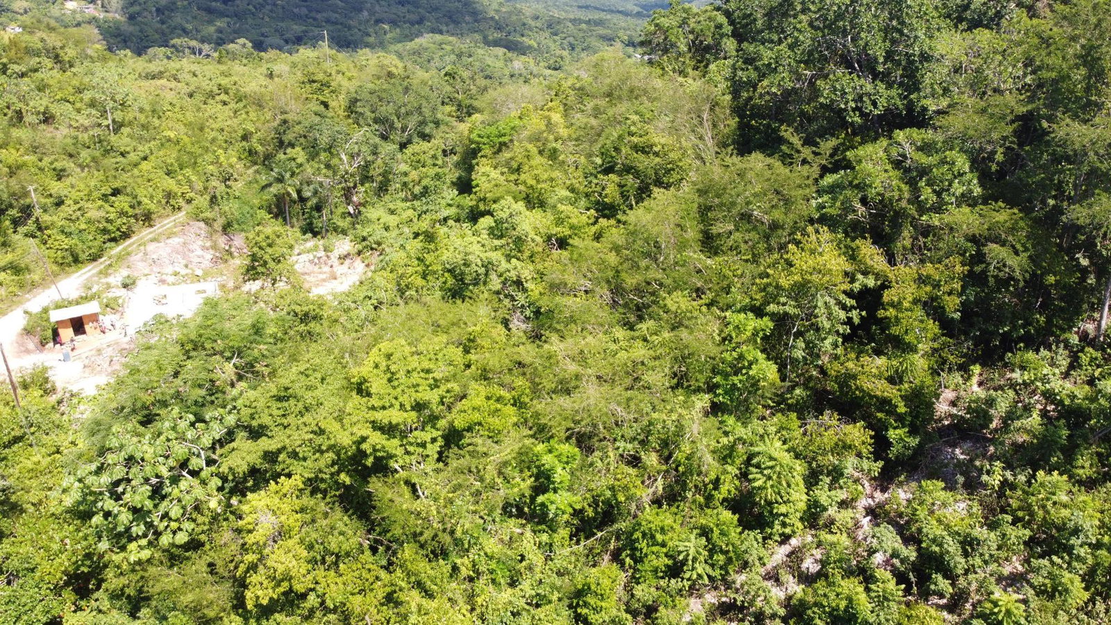 Twenty-Sixth image of 33 Gibraltar Estate in Oracabessa, St. Mary, Jamaica - property is For Sale