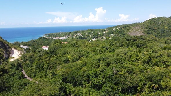 Twenty-Ninth image of 33 Gibraltar Estate in Oracabessa, St. Mary, Jamaica - property is For Sale