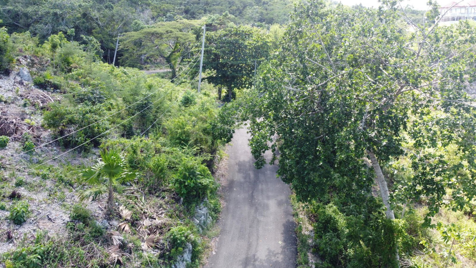 Fourth image of 33 Gibraltar Estate in Oracabessa, St. Mary, Jamaica - property is For Sale