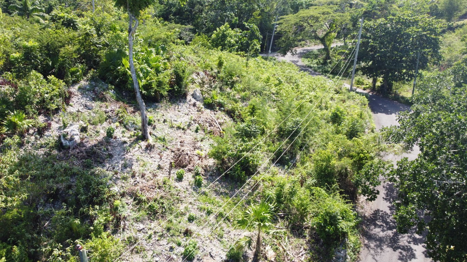 Fifth image of 33 Gibraltar Estate in Oracabessa, St. Mary, Jamaica - property is For Sale