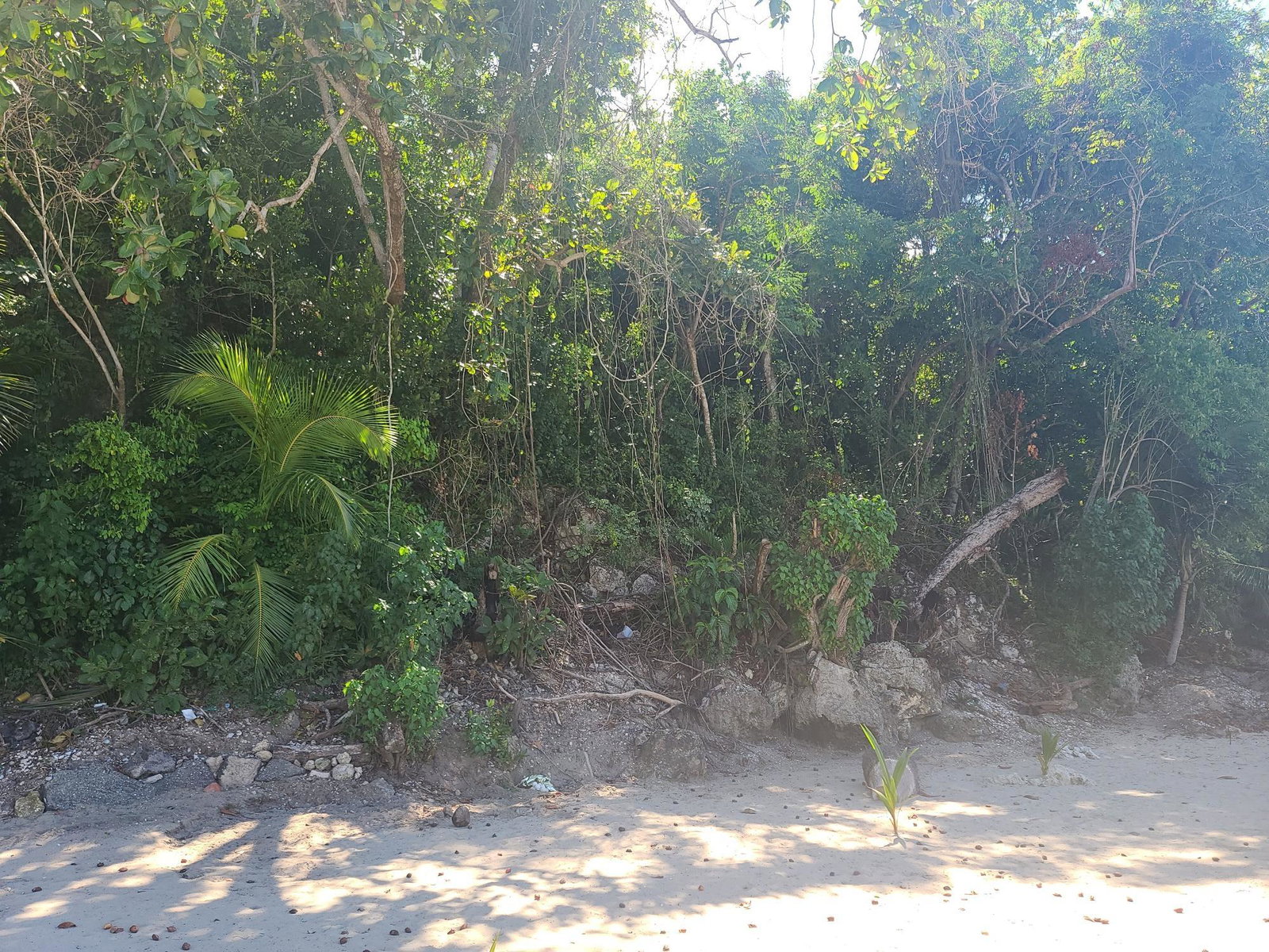 Ninth image of 33 Gibraltar Estate in Oracabessa, St. Mary, Jamaica - property is For Sale