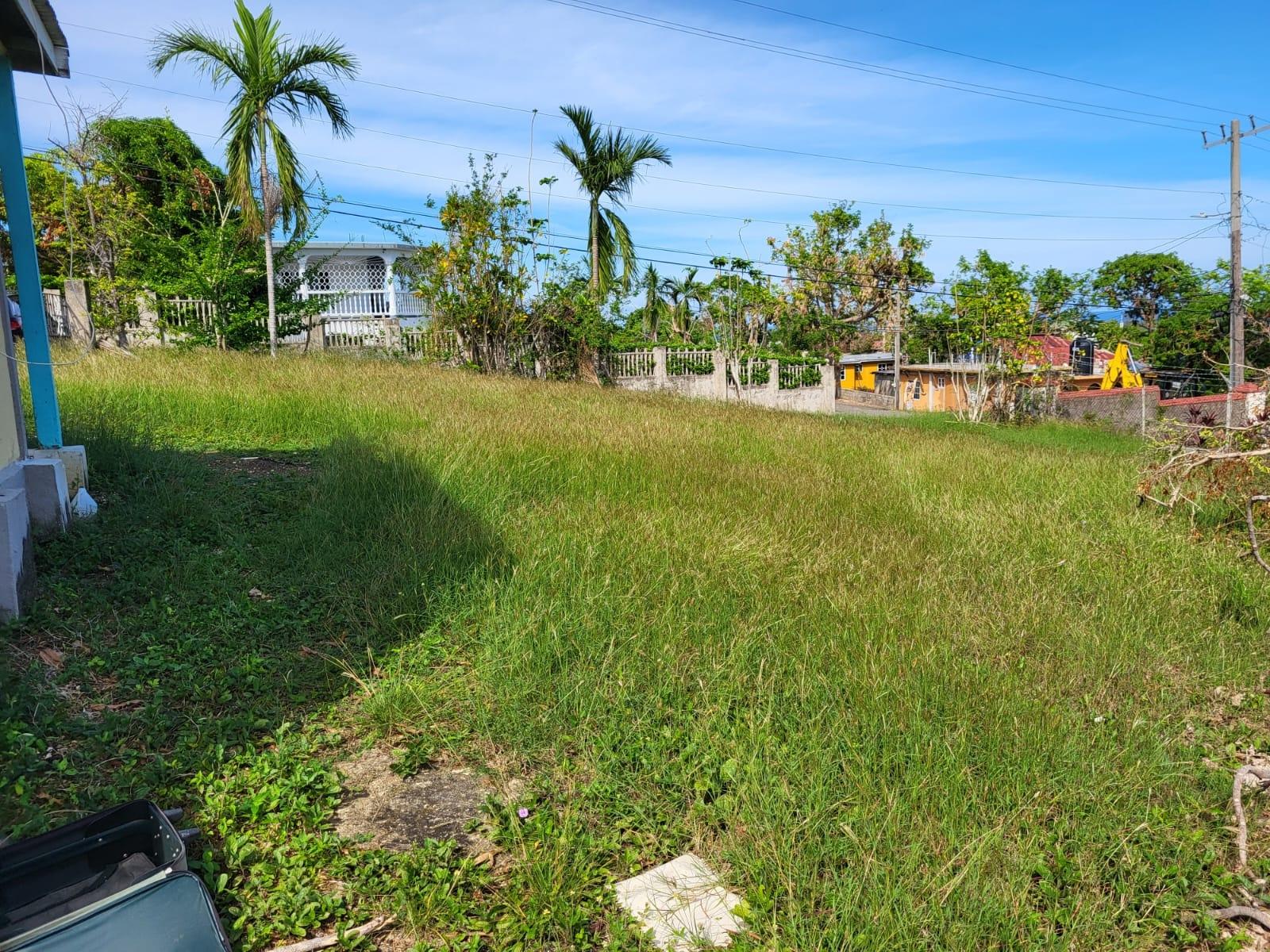 Sixth image of 31 Seville Estates, Seville in Seville Heights, St. Ann, Jamaica - property is For Sale
