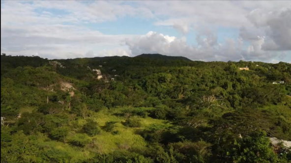 Twelfth image of Bannister in Bannister, St. Catherine, Jamaica - property is For Sale