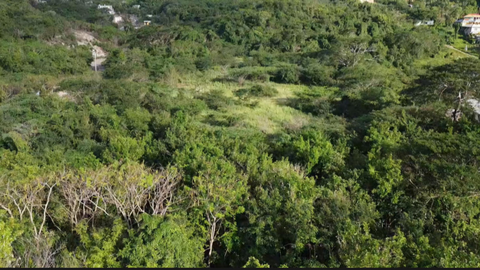 Thirteenth image of Bannister in Bannister, St. Catherine, Jamaica - property is For Sale