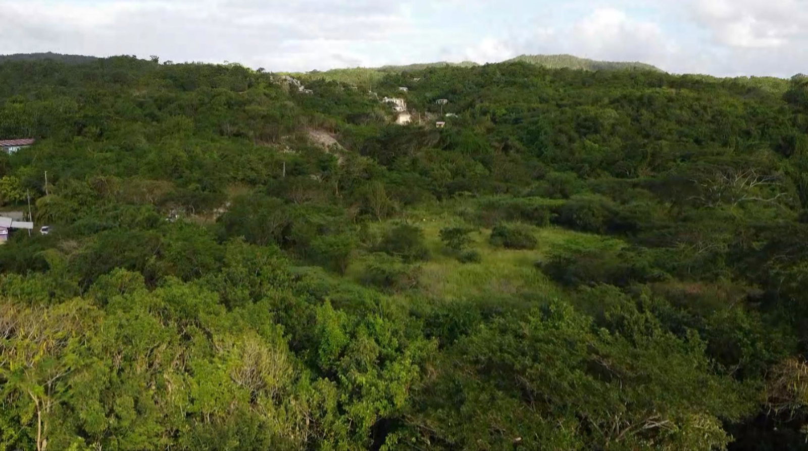 Fourteenth image of Bannister in Bannister, St. Catherine, Jamaica - property is For Sale
