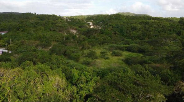 Fourteenth image of Bannister in Bannister, St. Catherine, Jamaica - property is For Sale
