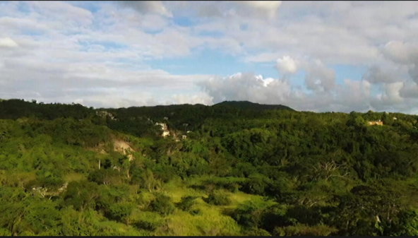 Fifteenth image of Bannister in Bannister, St. Catherine, Jamaica - property is For Sale