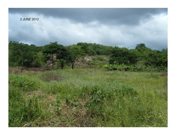 Nineteenth image of Bannister in Bannister, St. Catherine, Jamaica - property is For Sale