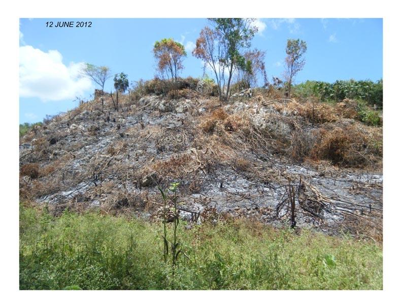 Twenty-Sixth image of Bannister in Bannister, St. Catherine, Jamaica - property is For Sale