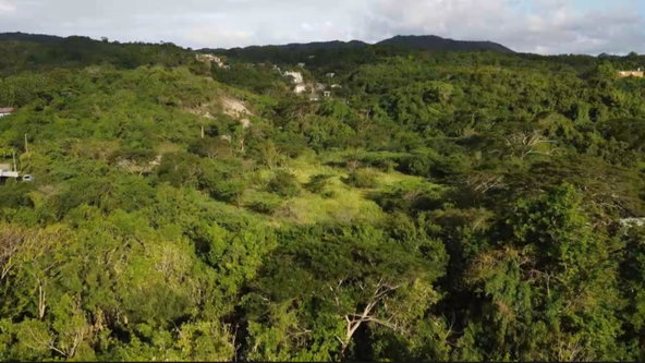 Seventh image of Bannister in Bannister, St. Catherine, Jamaica - property is For Sale