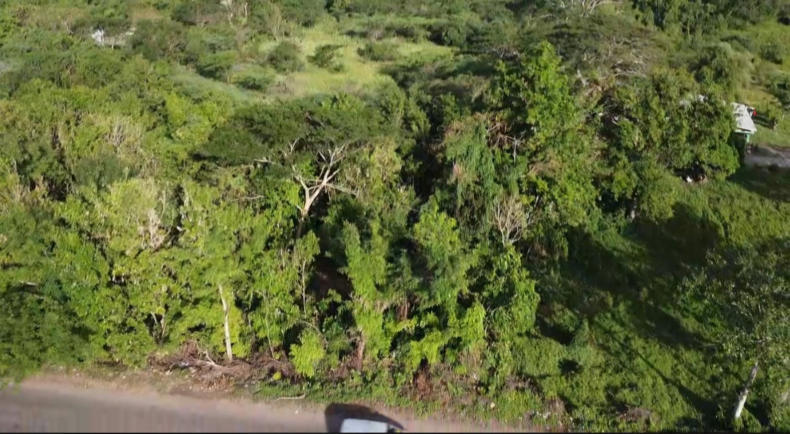 Eighth image of Bannister in Bannister, St. Catherine, Jamaica - property is For Sale