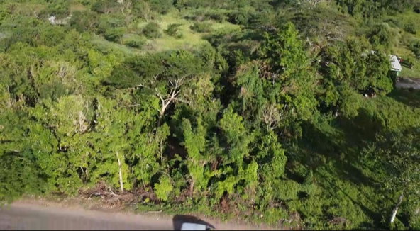 Eighth image of Bannister in Bannister, St. Catherine, Jamaica - property is For Sale