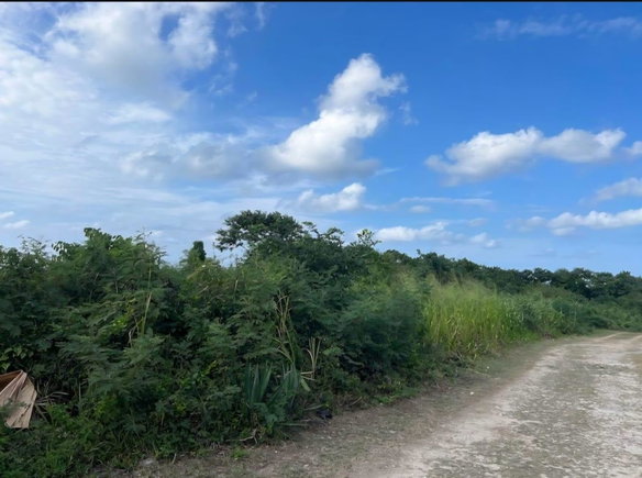First image of Seafield Salt Marsh in Falmouth, Trelawny, Jamaica - property is For Sale