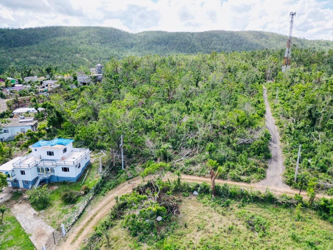 Third image of Seafield Salt Marsh in Falmouth, Trelawny, Jamaica - property is For Sale