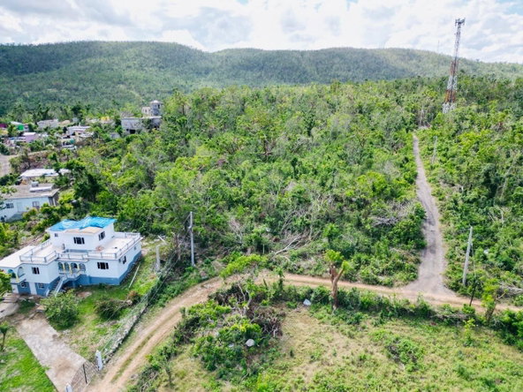 Third image of Seafield Salt Marsh in Falmouth, Trelawny, Jamaica - property is For Sale
