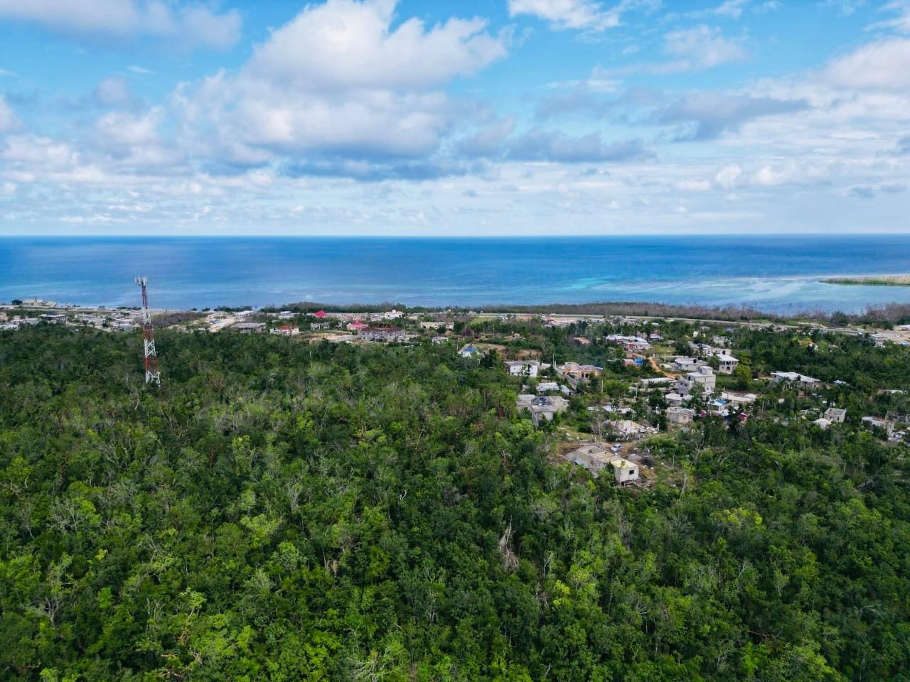 Fourth image of Seafield Salt Marsh in Falmouth, Trelawny, Jamaica - property is For Sale