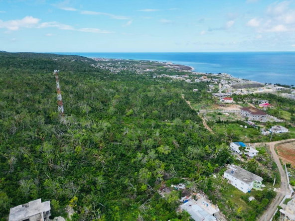 Fifth image of Seafield Salt Marsh in Falmouth, Trelawny, Jamaica - property is For Sale