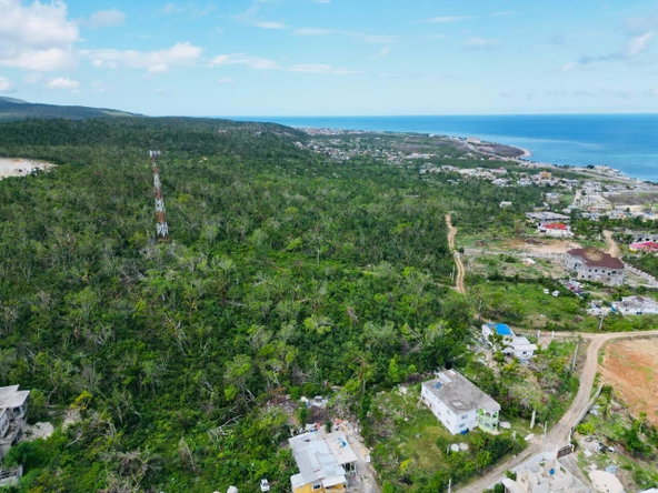 Seventh image of Seafield Salt Marsh in Falmouth, Trelawny, Jamaica - property is For Sale
