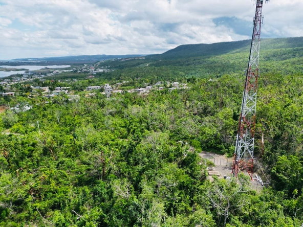 Eighth image of Seafield Salt Marsh in Falmouth, Trelawny, Jamaica - property is For Sale