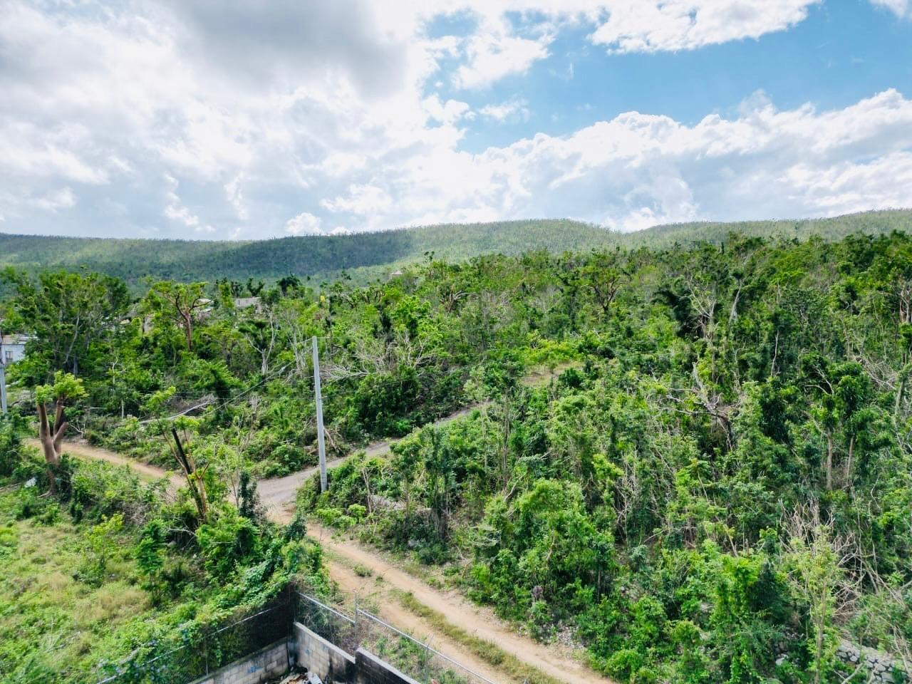 Ninth image of Seafield Salt Marsh in Falmouth, Trelawny, Jamaica - property is For Sale