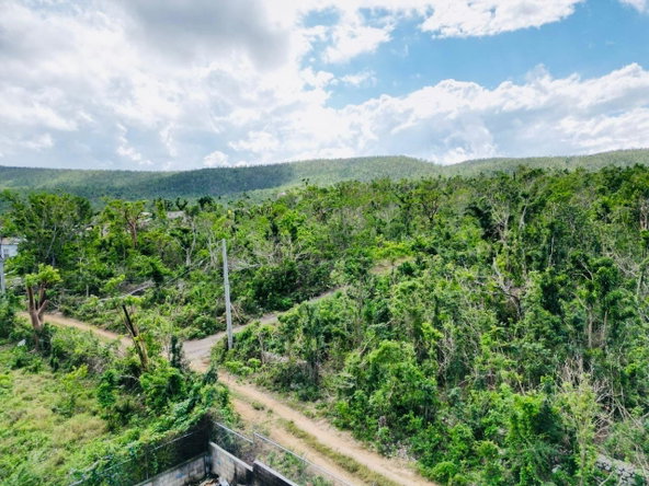 Ninth image of Seafield Salt Marsh in Falmouth, Trelawny, Jamaica - property is For Sale